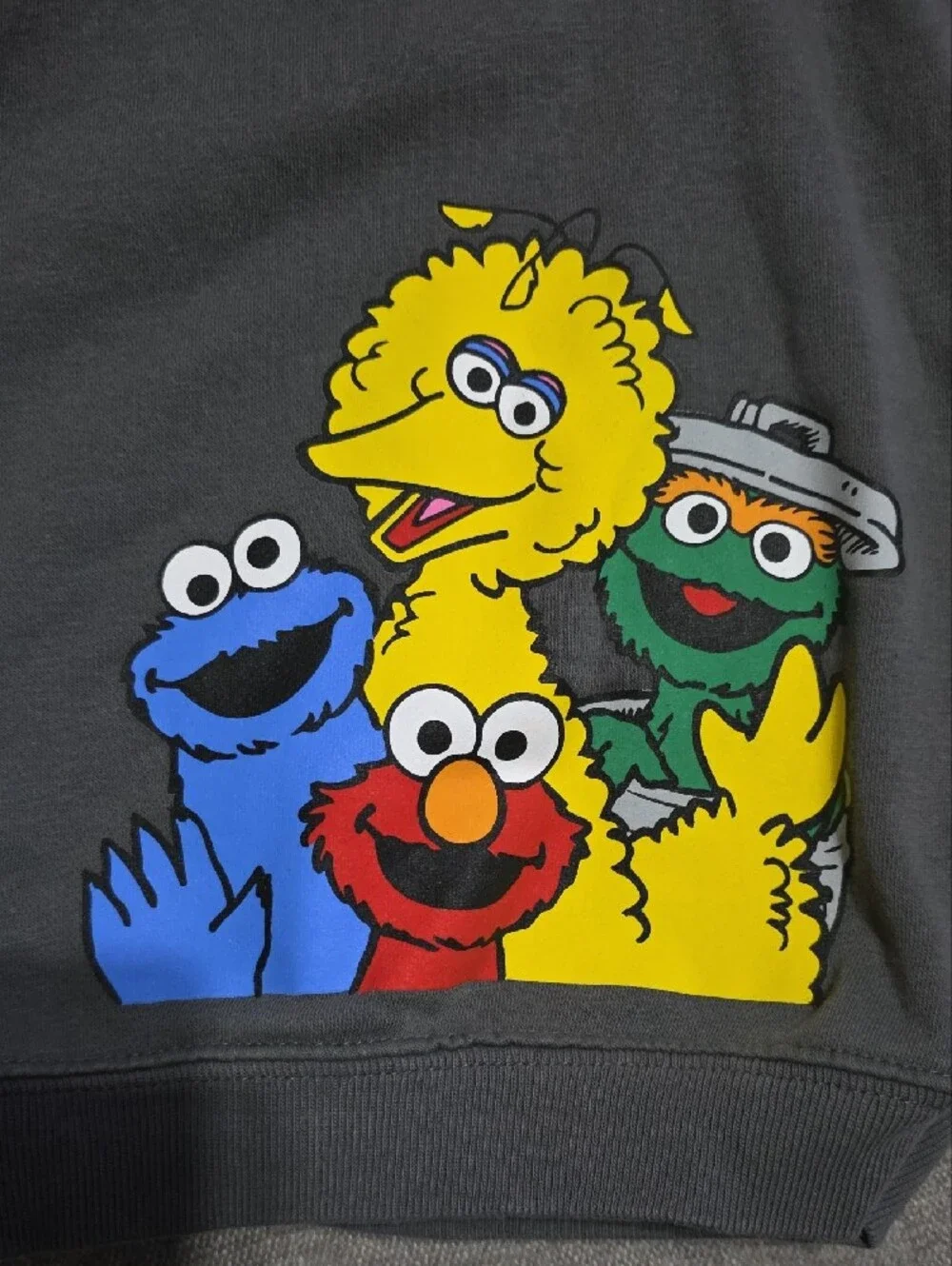 Baby GAP Sesame Street Dark Gray Hoodie 12-18 M